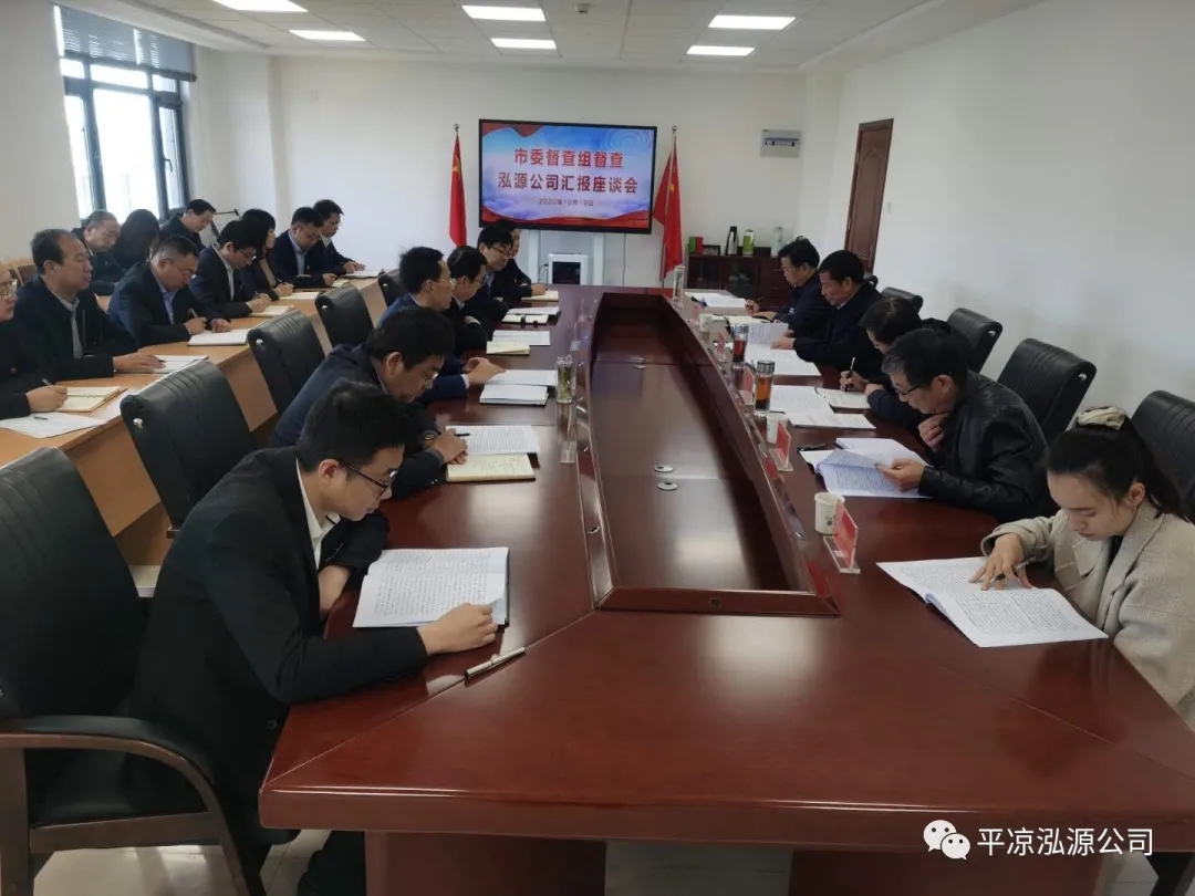 市委辦公室、市政府國資委督查泓源公司工作(圖4)