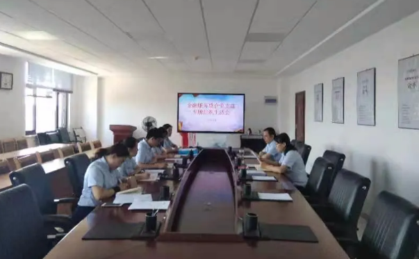 泓源公司金融服務(wù)聯(lián)合黨支部召開黨史學(xué)習(xí)教育專題組織生活會(圖1)